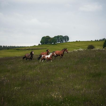 Wohlfuehl-Ferienhaus Eifel-Landurlaub Mit Herz Dahlem  Zewnętrze zdjęcie